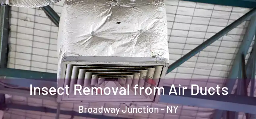 Insect Removal from Air Ducts Broadway Junction - NY