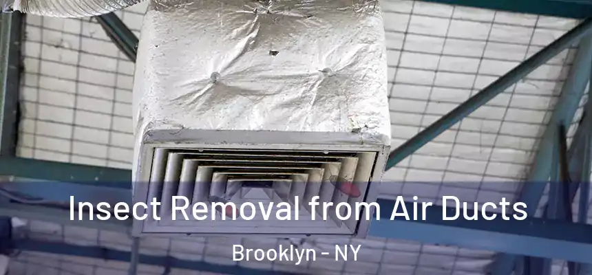 Insect Removal from Air Ducts Brooklyn - NY
