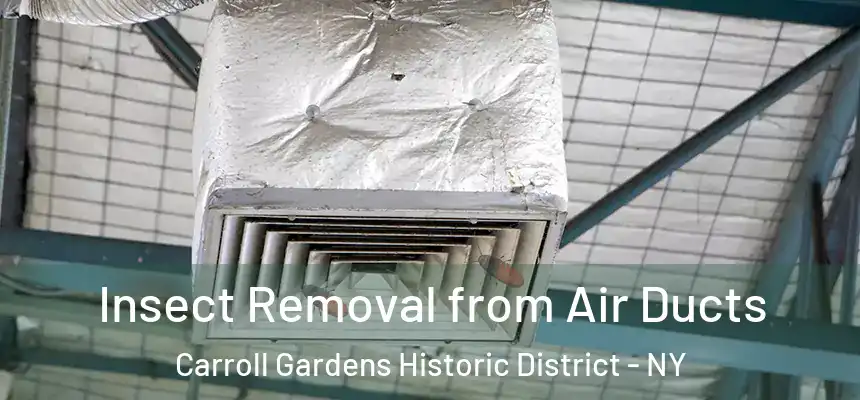 Insect Removal from Air Ducts Carroll Gardens Historic District - NY