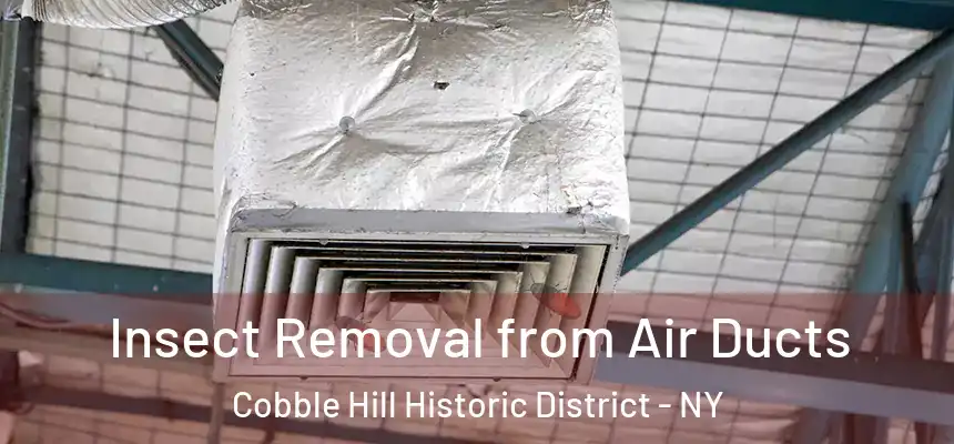 Insect Removal from Air Ducts Cobble Hill Historic District - NY