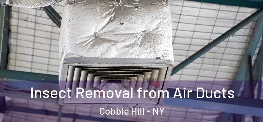 Insect Removal from Air Ducts Cobble Hill - NY