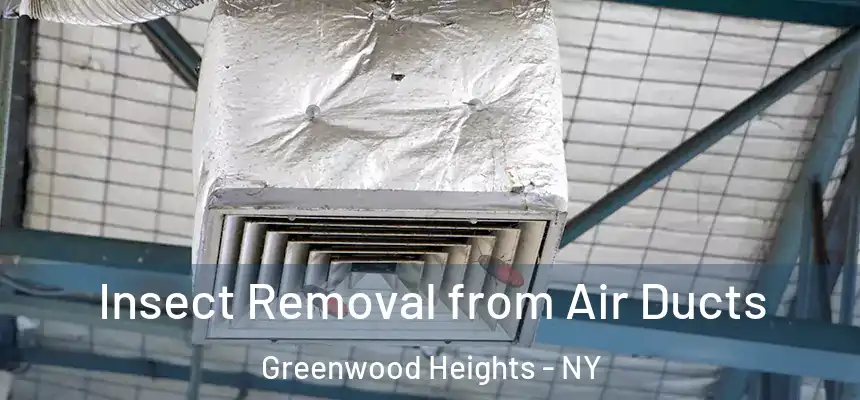 Insect Removal from Air Ducts Greenwood Heights - NY