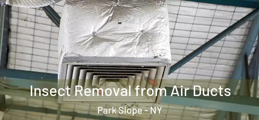  Insect Removal from Air Ducts Park Slope - NY