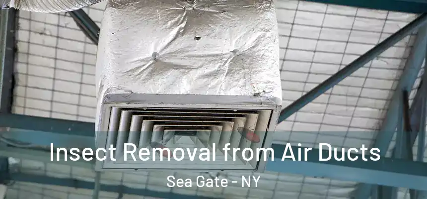 Insect Removal from Air Ducts Sea Gate - NY