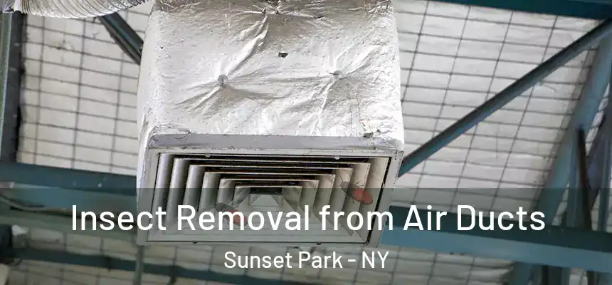 Insect Removal from Air Ducts Sunset Park - NY