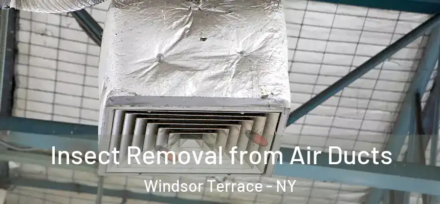 Insect Removal from Air Ducts Windsor Terrace - NY