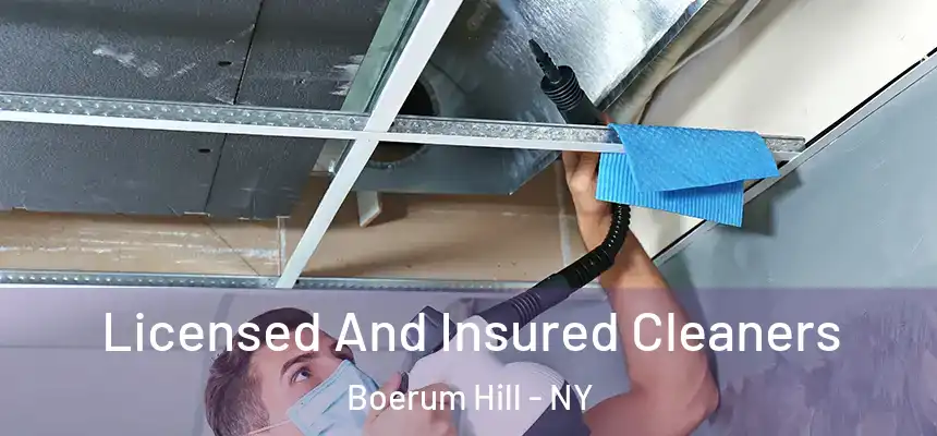  Licensed And Insured Cleaners Boerum Hill - NY