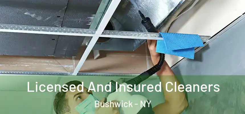 Licensed And Insured Cleaners Bushwick - NY