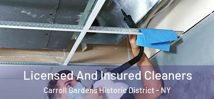 Licensed And Insured Cleaners Carroll Gardens Historic District - NY