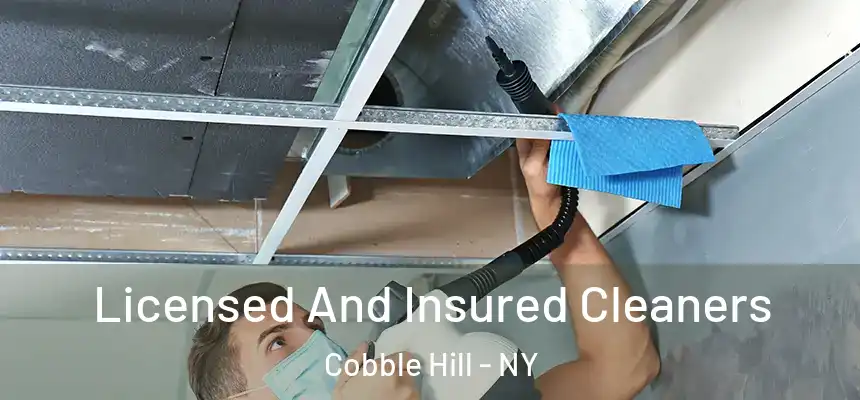 Licensed And Insured Cleaners Cobble Hill - NY