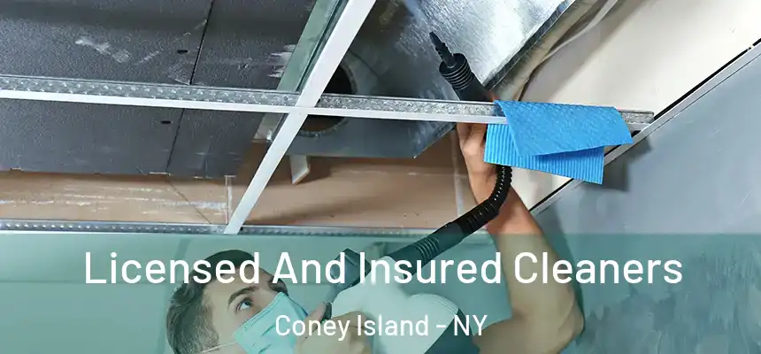 Licensed And Insured Cleaners Coney Island - NY