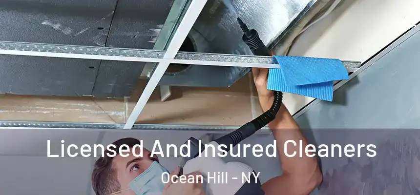  Licensed And Insured Cleaners Ocean Hill - NY