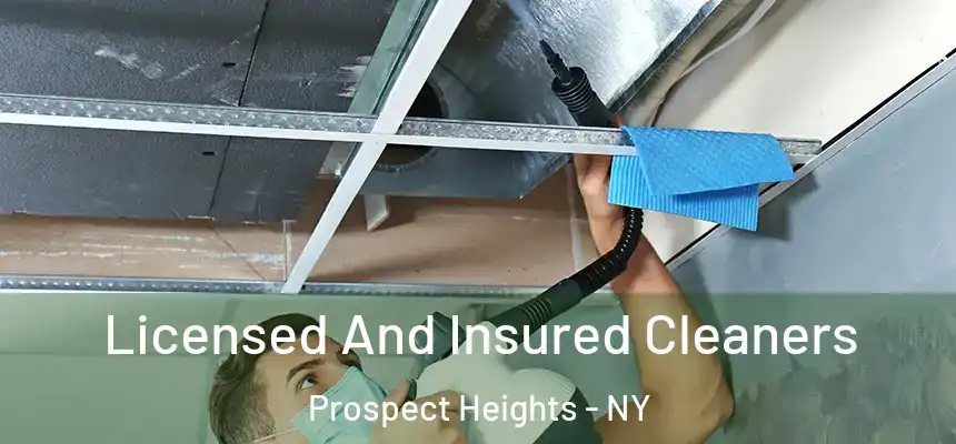 Licensed And Insured Cleaners Prospect Heights - NY