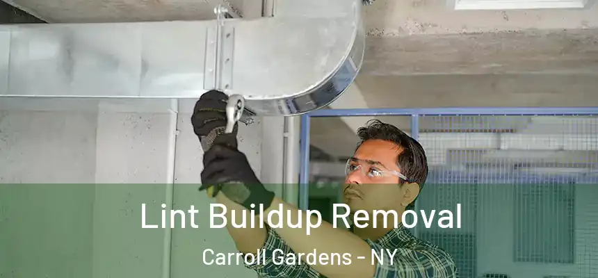 Lint Buildup Removal Carroll Gardens - NY