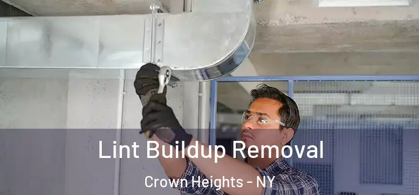 Lint Buildup Removal Crown Heights - NY