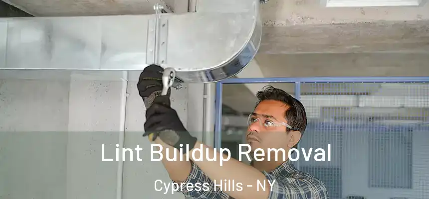 Lint Buildup Removal Cypress Hills - NY