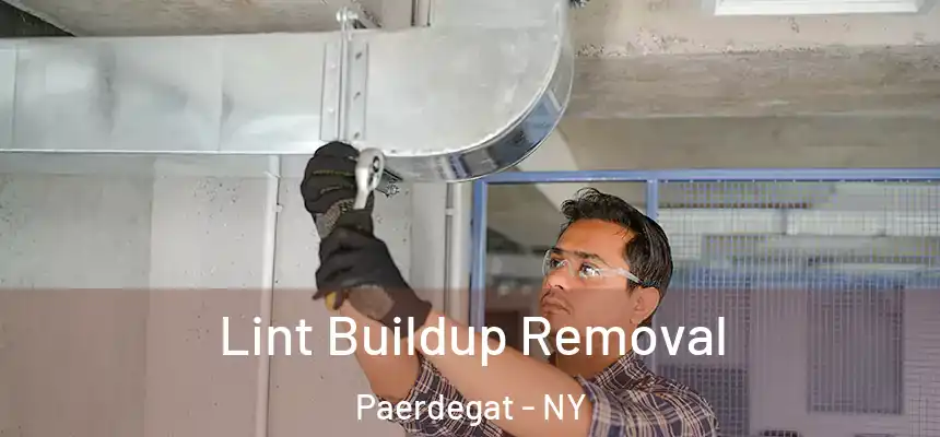Lint Buildup Removal Paerdegat - NY