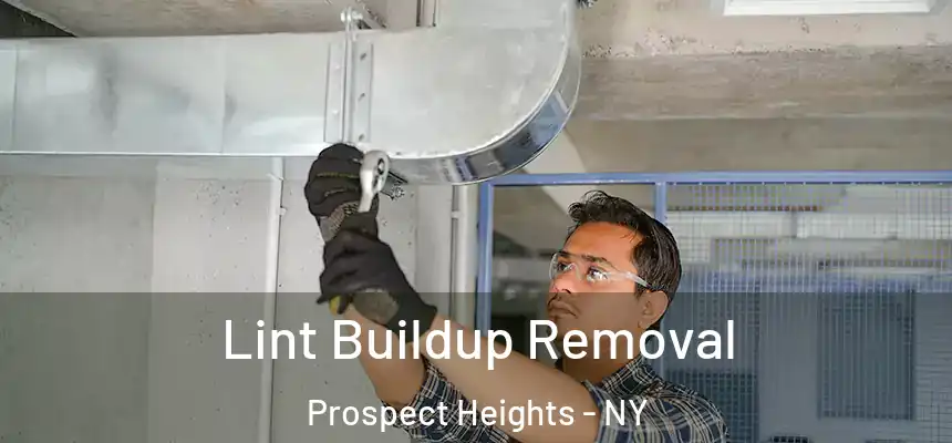 Lint Buildup Removal Prospect Heights - NY
