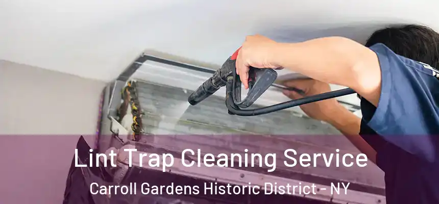 Lint Trap Cleaning Service Carroll Gardens Historic District - NY