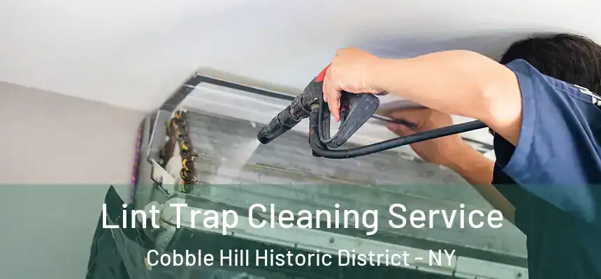 Lint Trap Cleaning Service Cobble Hill Historic District - NY