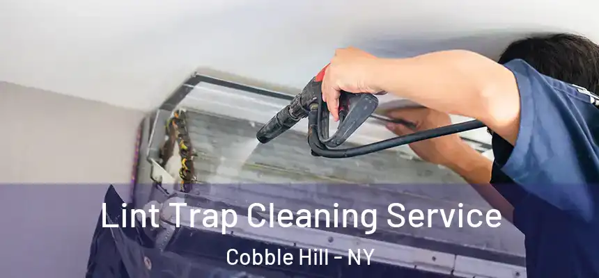 Lint Trap Cleaning Service Cobble Hill - NY