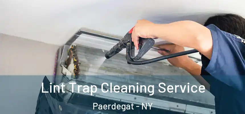Lint Trap Cleaning Service Paerdegat - NY