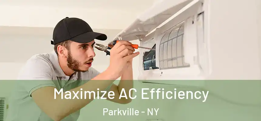  Maximize AC Efficiency Parkville - NY