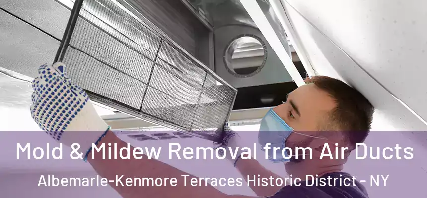 Mold & Mildew Removal from Air Ducts Albemarle-Kenmore Terraces Historic District - NY
