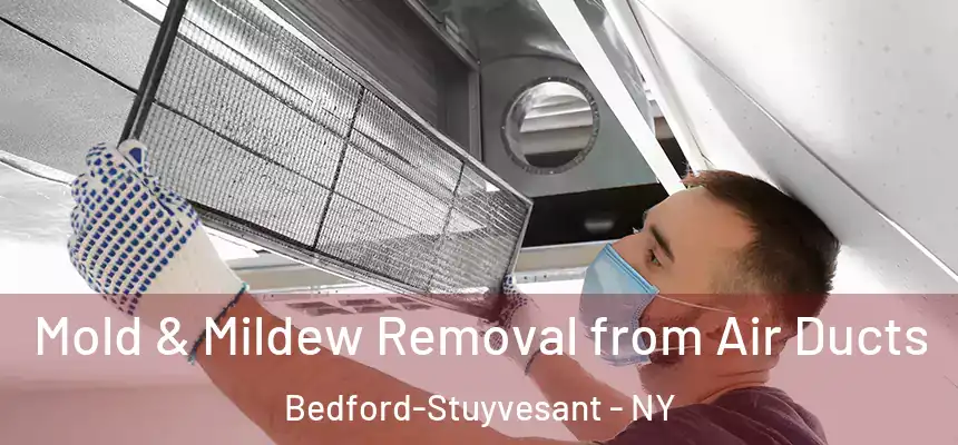 Mold & Mildew Removal from Air Ducts Bedford-Stuyvesant - NY