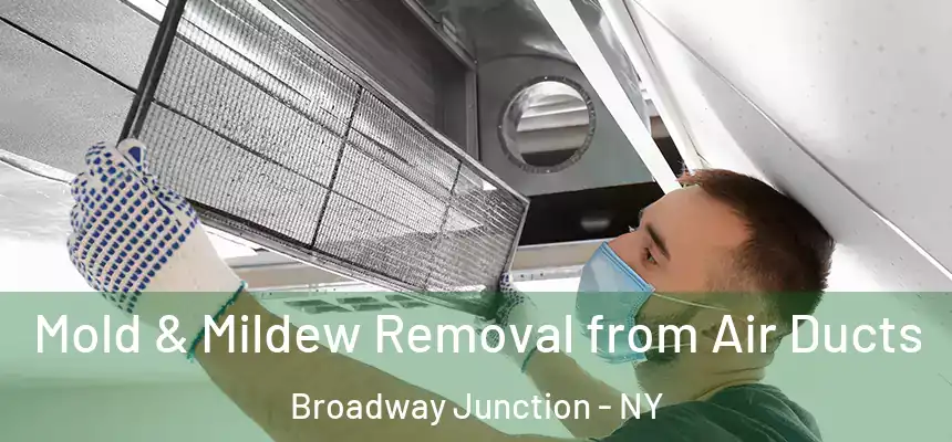 Mold & Mildew Removal from Air Ducts Broadway Junction - NY