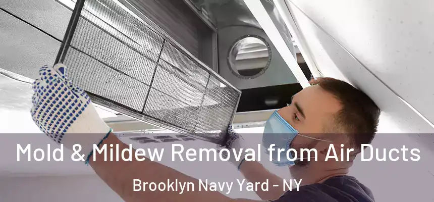 Mold & Mildew Removal from Air Ducts Brooklyn Navy Yard - NY