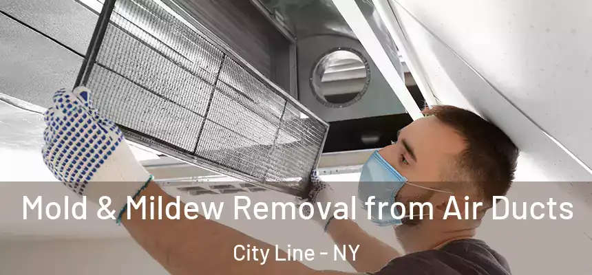 Mold & Mildew Removal from Air Ducts City Line - NY