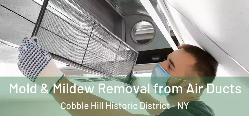 Mold & Mildew Removal from Air Ducts Cobble Hill Historic District - NY