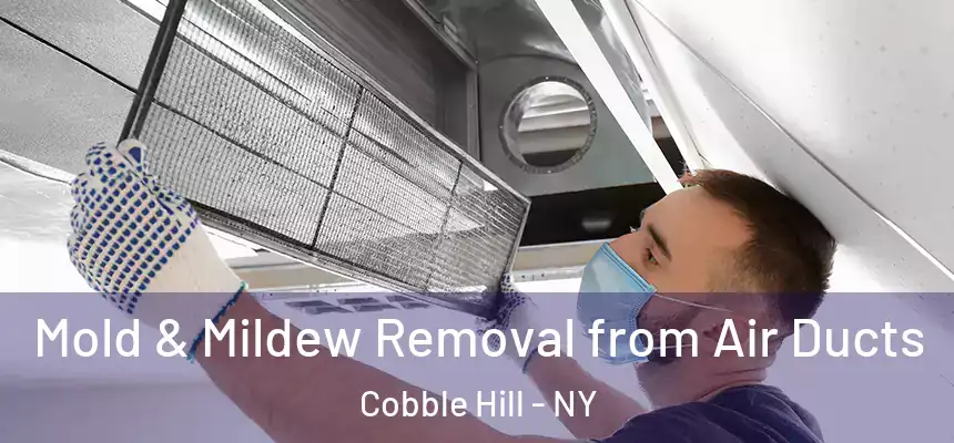 Mold & Mildew Removal from Air Ducts Cobble Hill - NY