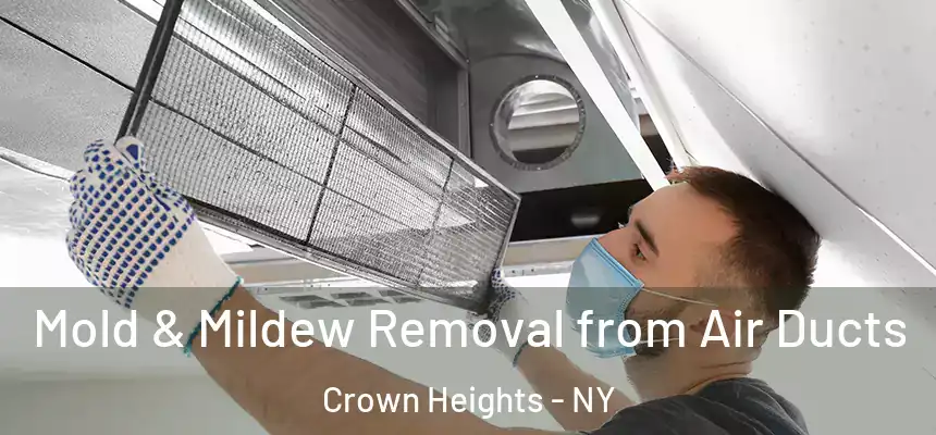  Mold & Mildew Removal from Air Ducts Crown Heights - NY