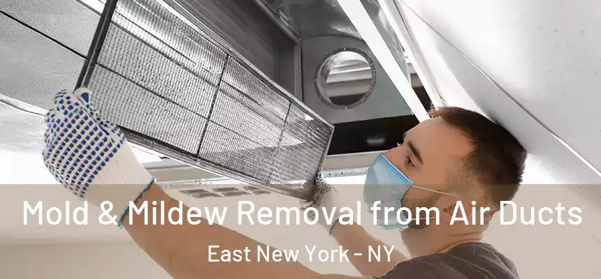 Mold & Mildew Removal from Air Ducts East New York - NY