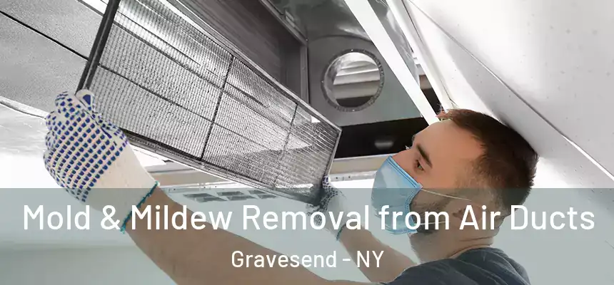 Mold & Mildew Removal from Air Ducts Gravesend - NY