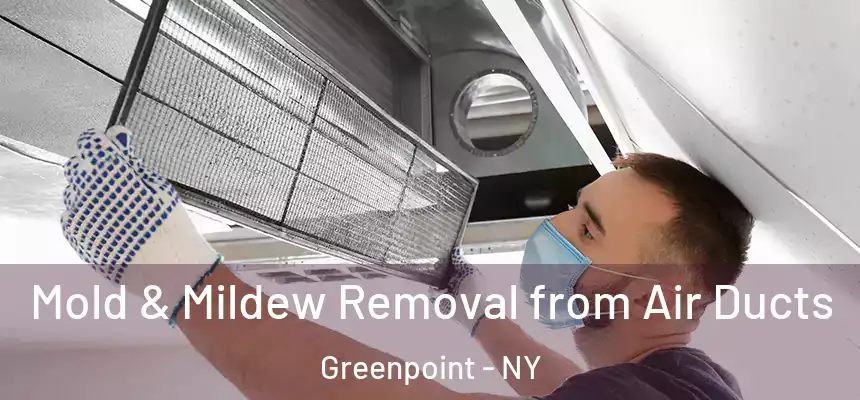 Mold & Mildew Removal from Air Ducts Greenpoint - NY