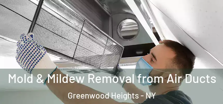 Mold & Mildew Removal from Air Ducts Greenwood Heights - NY