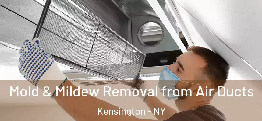 Mold & Mildew Removal from Air Ducts Kensington - NY