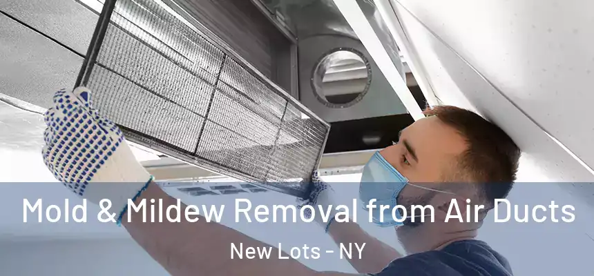 Mold & Mildew Removal from Air Ducts New Lots - NY
