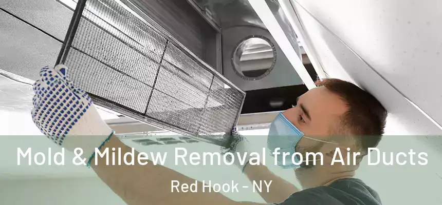 Mold & Mildew Removal from Air Ducts Red Hook - NY