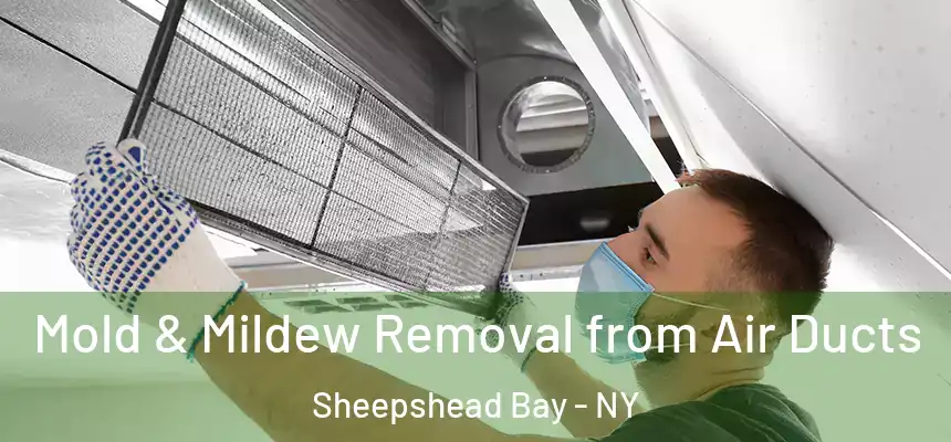 Mold & Mildew Removal from Air Ducts Sheepshead Bay - NY