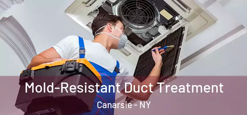 Mold-Resistant Duct Treatment Canarsie - NY