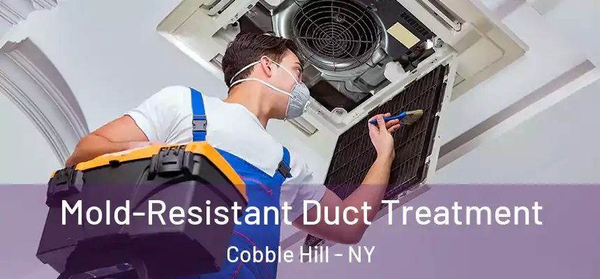Mold-Resistant Duct Treatment Cobble Hill - NY