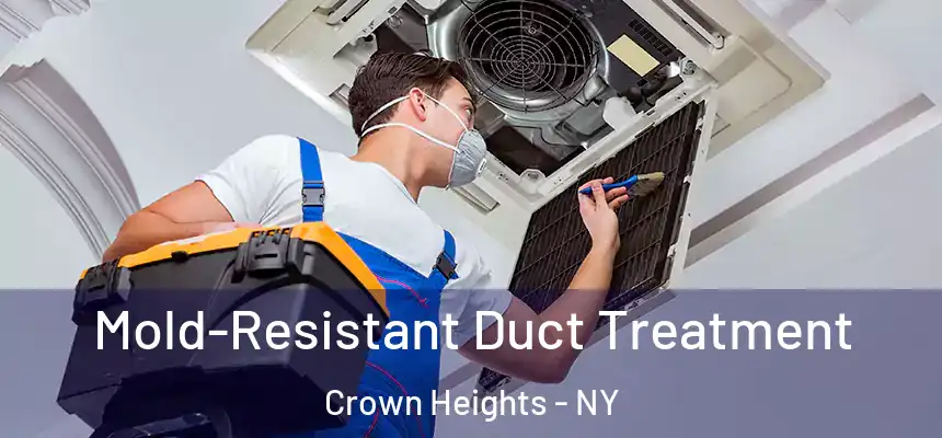 Mold-Resistant Duct Treatment Crown Heights - NY