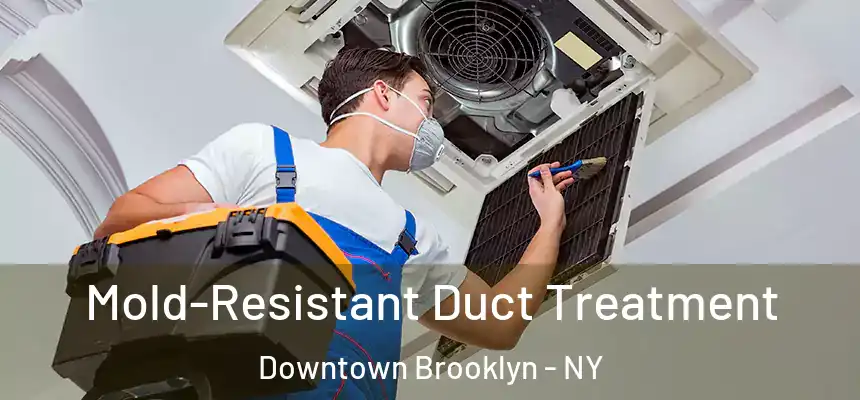 Mold-Resistant Duct Treatment Downtown Brooklyn - NY