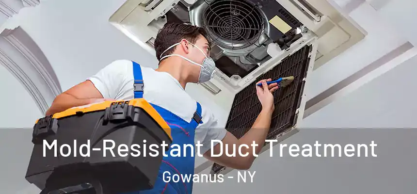 Mold-Resistant Duct Treatment Gowanus - NY