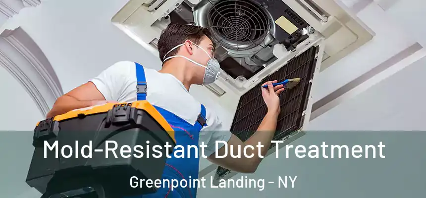 Mold-Resistant Duct Treatment Greenpoint Landing - NY