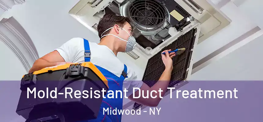 Mold-Resistant Duct Treatment Midwood - NY